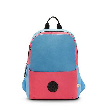 Torby Na Laptopa Kipling Sonnie 15" Backpack Niebieskie Czerwone | PL 1544FD